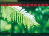 海南省保亭黎族苗族自治图书馆